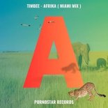 Timbee - Afrika (Cheesecake Boys Remix)