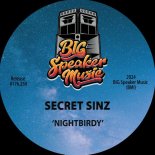 Secret Sinz - Nightbirdy (Extended Mix)