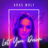 Aras Wolf - Let You Down