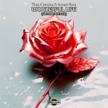 Tina Cousins & Sunset Bros - Wonderful Life (Autone Remix)