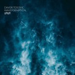 Davor Tosovic - Waveformation (Original Mix)