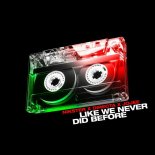 Nikster & Directa Feat. Jojee - Like We Never Did Before