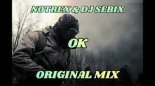 NOTREX & DJ SEBIX - OK (ORIGINAL MIX)