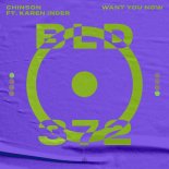 CHINSON Feat. Karen Inder - Want You Now