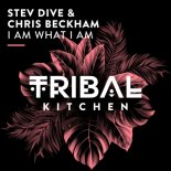 Stev Dive, Chris Beckham - I Am What I Am