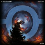 Filth & Pleasure - In My Mind (Original Mix)