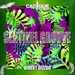 Sentinel Groove - Direkt Dizzgo (Original Mix)