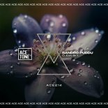 Sandro Puddu - Clean Sky (Original Mix)