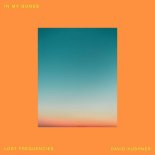 Lost Frequencies & David Kushner - In My Bones