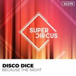 Disco Dice - Because the Night (Original Mix)