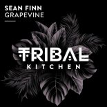 Sean Finn - Grapevine (Extended Mix)