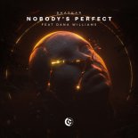 Bhaskar Feat. Dana Williams - Nobody's Perfect (Extended Mix)