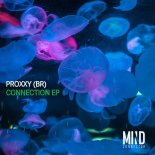 Proxxy (BR) - Connection
