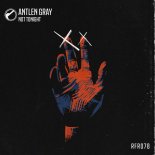 Antlen Gray - Connection (Original Mix)