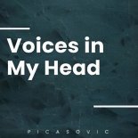 Picasovic - Voices In My Head