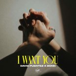 David Puentez & Bonn - I Want You (Extended Mix)