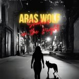 Aras Wolf - Shadows in the night