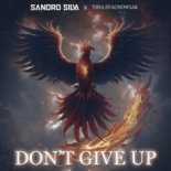 Sandro Silva & Tina Stachowiak – Don’t Give Up (Extended Mix)