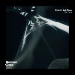 Pete K & Ash Nova - The Time (Extended Mix)