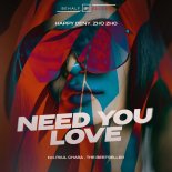 Happy Deny & Zho Zho - Need You Love (Extended Mix)