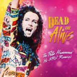 Dead Or Alive - Lover Come Back to Me (2000 Pete Hammond Hi-NRG Remix)