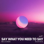 Oceanside & Badjack - Say What You Need To Say