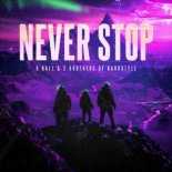 2 Brothers Of Hardstyle & 8 Ball - Never Stop (Pro Mix)