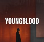 Gulmee, Dylan Baksalara & Mal feat. Acko - Youngblood (Extended Mix)