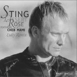 Sting - Desert Rose (Eidly Extended Remix)