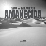 Mr. Wilson, Taao - Amanecida (Original Mix)