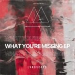 LVNDSCAPE - What You’re Missing