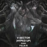 V-Sector - This Will Make You Move (FelixR Remix)