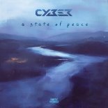 Cyber - A State Of Peace