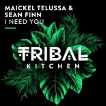 Sean Finn, Maickel Telussa - I Need You (Extended Mix)