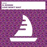 D. Rossini - Love Won't Wait (Original Mix)