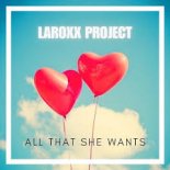 LaRoxx Project - All That She Wants