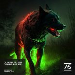Oliver Gruen - Zeus on Acid (Extended Mix)