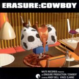 Erasure - Rain (Stealing Sheep Remix)