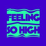 Terri-Anne, Nyla - Feeling So High (Extended Mix)