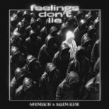 Ofenbach & Salem Ilese - Feelings Dont Lie (Extended Mix)