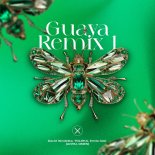 David Vendetta & TOLOKA & Smile (UA) - Guaya (Antai, Onen Remix)