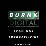 Ivan Kay - Funkadelicius (Original Mix)