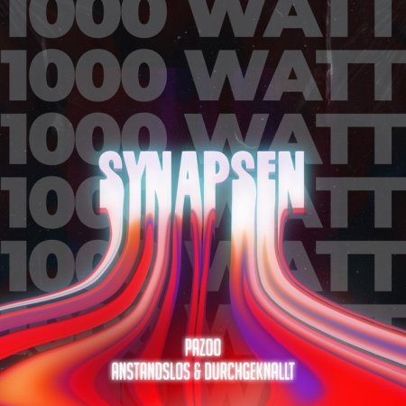 PAZOO X ANSTANDSLOS & DURCHGEKNALLT - SYNAPSEN 1000 WATT