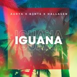 Aurya & B3nte Feat. Hallasen - Iguana