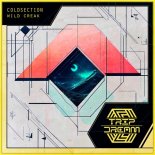 ColdSection - Wild Creak (Radio Version)