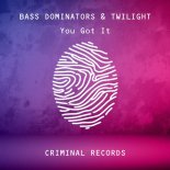 Bass Dominators and Twilight - You Got It (Extended Mix)