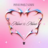 PRINSH & Project Gemini - Never Say Never (Radio Edit)