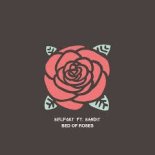 Belfort feat. Bandit - Bed Of Roses