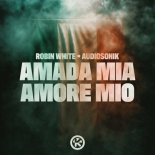 Robin White feat. Audiosonik - Amada Mia, Amore Mio