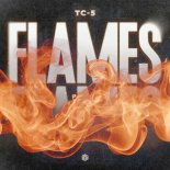 Tc-5 - Flames